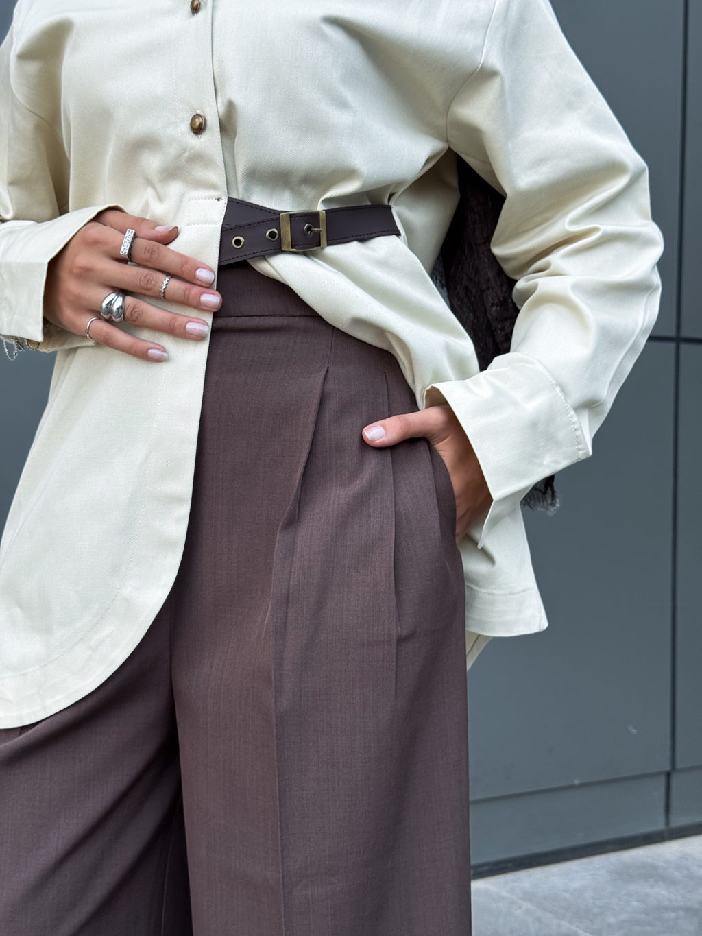 Tailored Classic pants With Belt - Brown